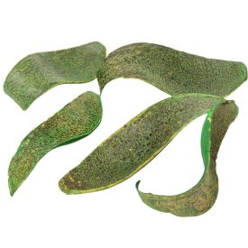 Kobra fej szárított zöld 22dkg/csom