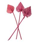 Pálma levél mini szárított bordó 7db/csom