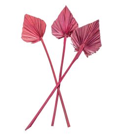 Pálma levél mini szárított bordó 7db/csom