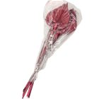 Pálma levél mini szárított bordó 7db/csom