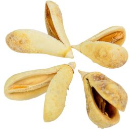 Mike szárított fehérített 20dkg/csom