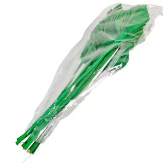 Pálma levél közepes zöld 7db-os