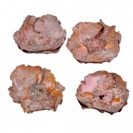 Kókusz virág falfestékes old pink 16dkg/csom