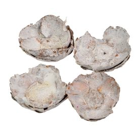 Kókusz virág falfestékes fehér 16dkg/csom