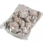 Kókusz virág falfestékes fehér 16dkg/csom