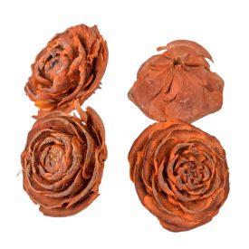 Cédrus rózsa falfestékes narancs 17dkg/ csom