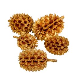 Casuarina szárított arany 17dkg/csom