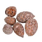 Cane fruit pálma mag falfestékes old pink 17dkg/csom