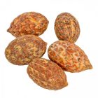 Cane fruit pálma mag falfestékes narancs 17dkg/csom