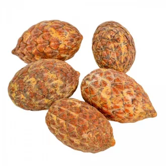 Cane fruit pálma mag falfestékes narancs 17dkg/csom