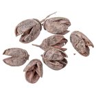 Bakuli szárított falfestékes old pink 20dkg/csom