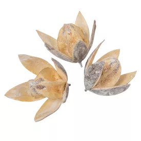 Wild lili száritott havas fehér 9db-os