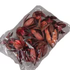 Wild lili szárított bordó 9db/csom