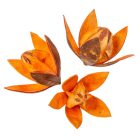 Wild lili száritott narancs 9db/csom