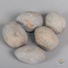 Amra dió szárított szürke 28dkg/csom