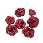 Fokhagyma termés szárított bordó 16dkg/csom