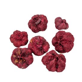 Fokhagyma termés szárított bordó 16dkg/csom