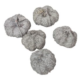 Fokhagyma termés szárított szürke 16dkg/csom