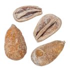 Mike szárított havas fehér 22dkg/csom