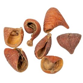 Lali szárított natúr 22dkg/csom