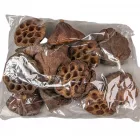 Lótusz szárított 8-10cm natúr 12db-os