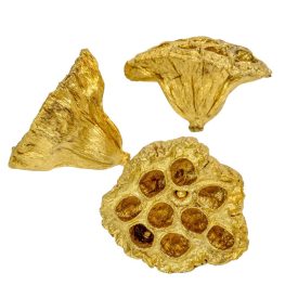 Lótusz 5-8cm arany 10db-os