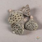 Lótusz szárított mini havas fehér 6dkg/csom