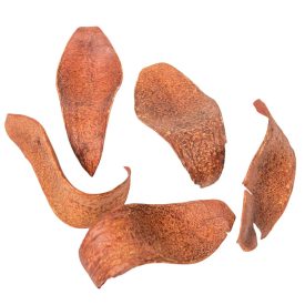 Kobra fej szárított terrakotta 26dkg/csom