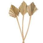 Pálma levél mini szárított natúr 10db-os
