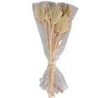 Pálma levél mini szárított natúr 10db-os