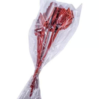 Pálma levél mini szárított terrakotta 8db-os