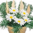 Sírdísz féloldalas kis tálban fehér margaréta selyemvirággal M20x25cm
