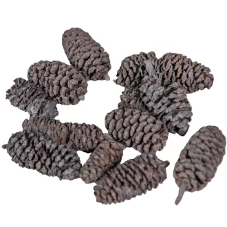 Birch pine szárított havas szürke 21dkg/csom
