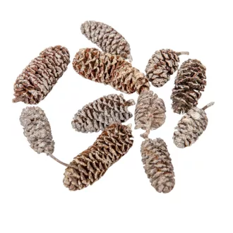Birch pine szárított havas fehér 18dkg/csom