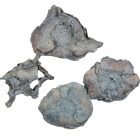 Kókusz virág szárított havas szürke 28dkg/csom