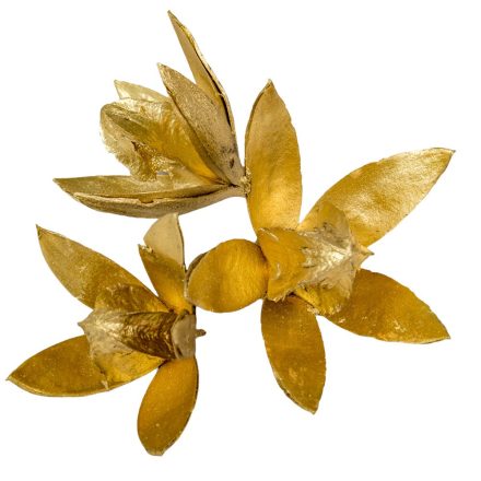 Wild lili szárított arany 11db/csom