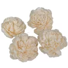 Ming boglárka 4cm 50db-os