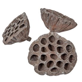 Lótusz szárított 8-10cm havas szürke 10db-os