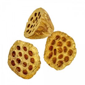 Lótusz szárított 8-10cm óarany 9db-os