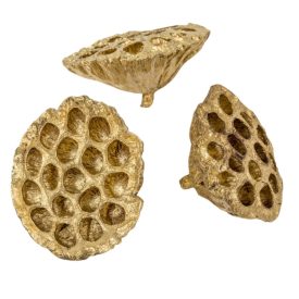 Lótusz szárított 8-10cm arany 9 db-os