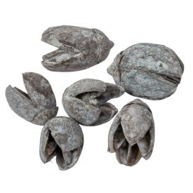 Bakuli szárított havas szürke 20dkg/csom