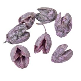 Bakuli szárított mauve 20dkg/csom