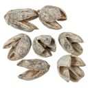 Bakuli szárított mud green 20dkg/csom