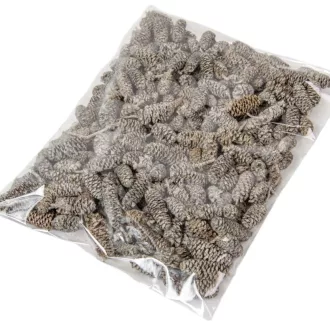 Birch pine szárított falfestékes mud green 18dkg/csom