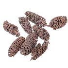 Birch pine szárított falfestékes old pink 18dkg/csom