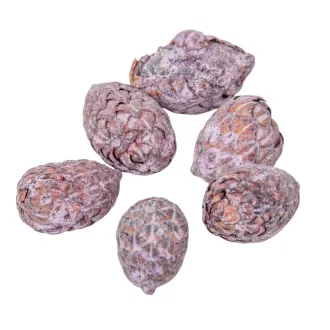 Cane bogyós termés falfestékes mauve 15dkg/csom