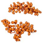 Canella cutting bogyós termés narancs 15dkg/csom