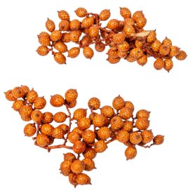 Canella cutting bogyós termés narancs 15dkg/csom