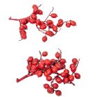 Canella cutting bogyós termés bordó 15dkg/csom