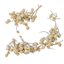   Canella cutting bogyós termés falfestékes mud green 15dkg/csom